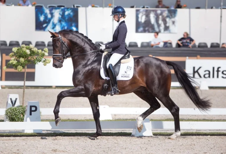 Inclusive (2013) by Everdale - Uptown 