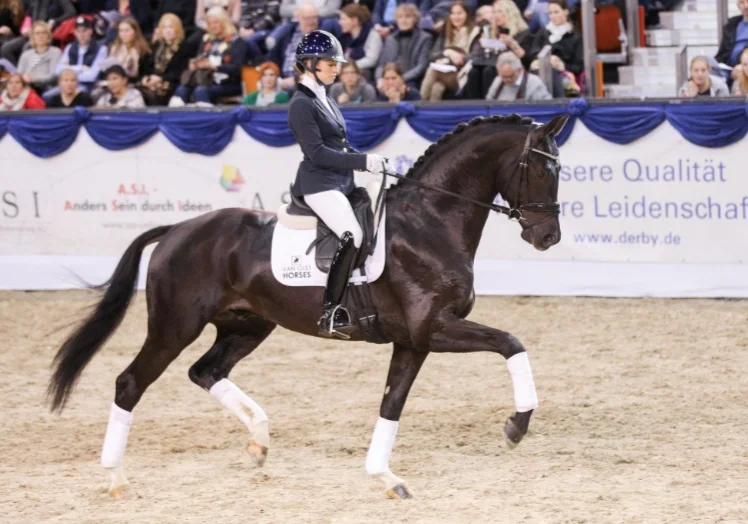 Kjento (2015) by Negro - Jazz