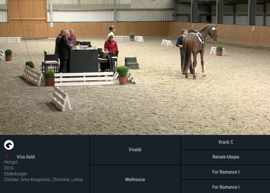 Screen+Shot+2019-05-15+at+13.30.19.jpg