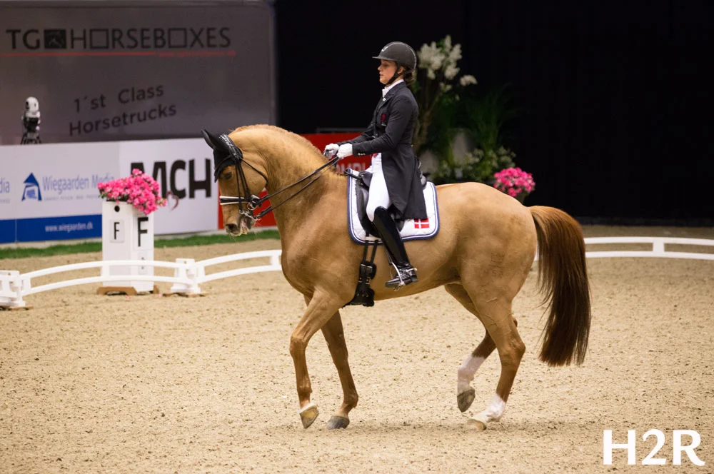Atterupgaards Cassidy and Cathrine Dufour