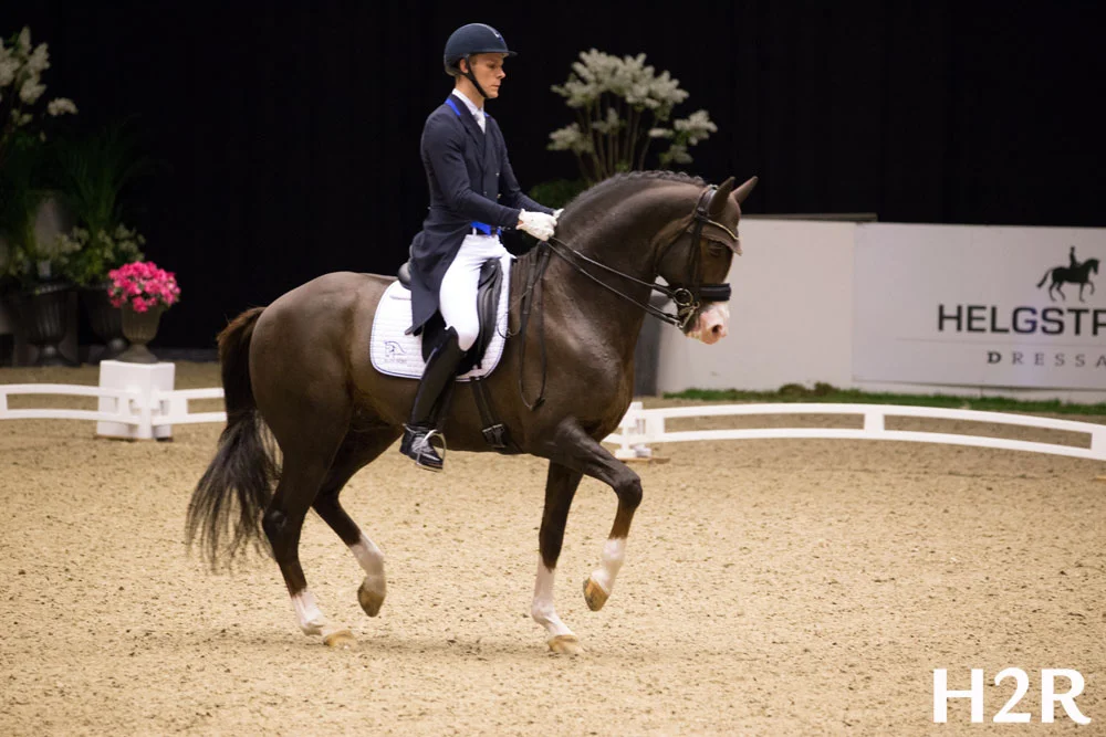 Blue Hors Don Olymbrio &amp; Daniel Bachmann 