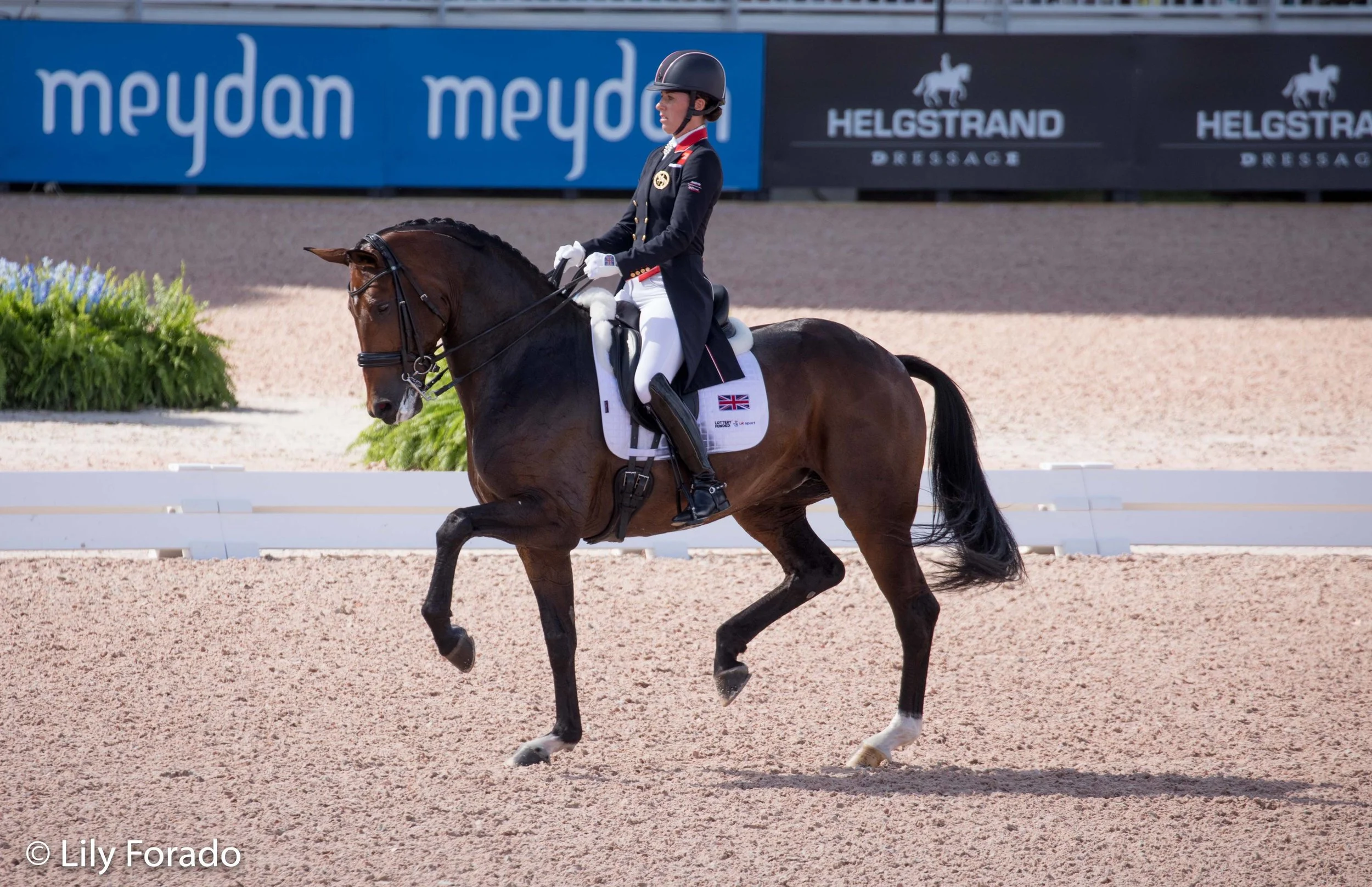 MSJ Freestyle and Charlotte Dujardin - photo credit: Lily Forado