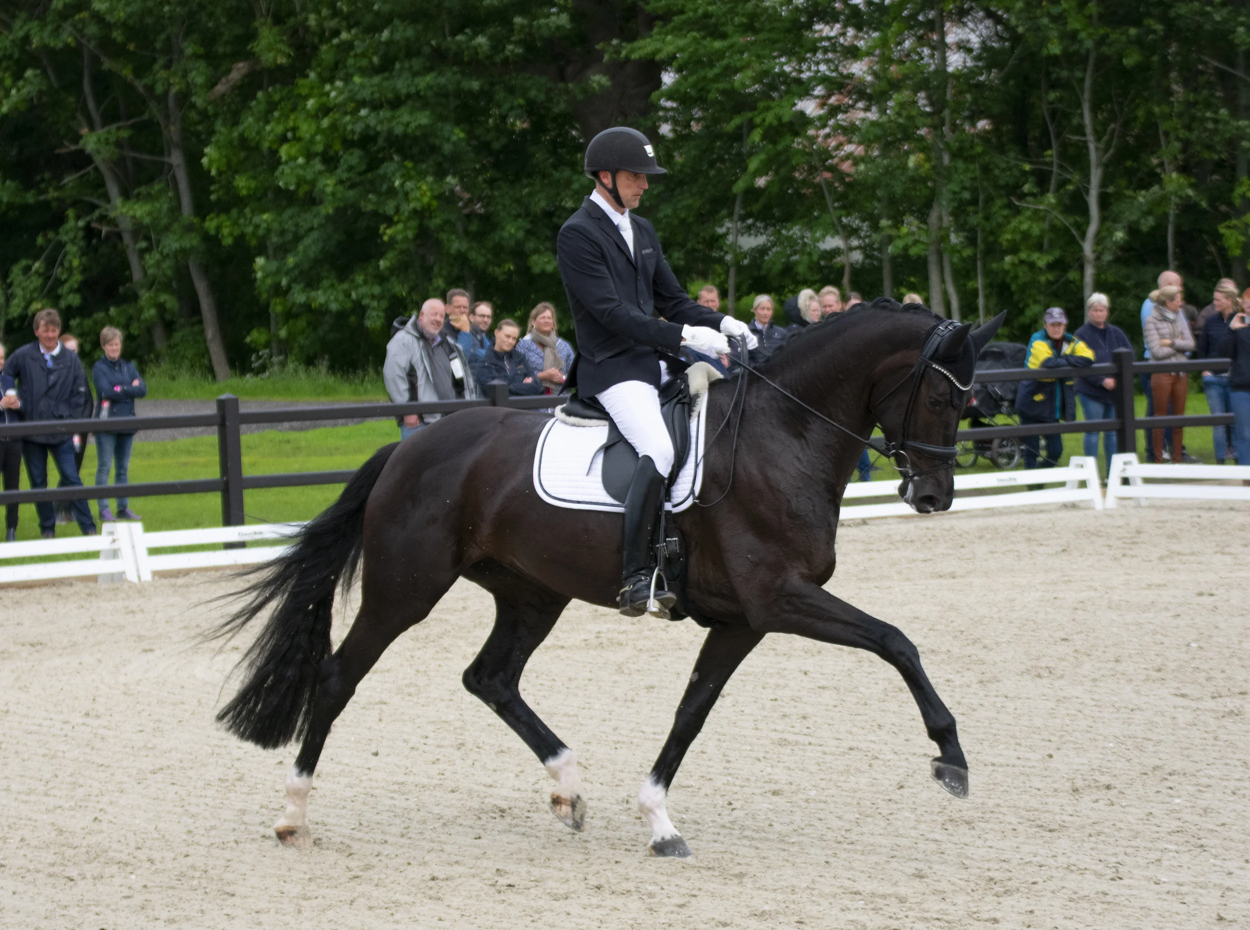 Queenparks Wendy with Andreas Helgstrand - photo credit: Mia Bach