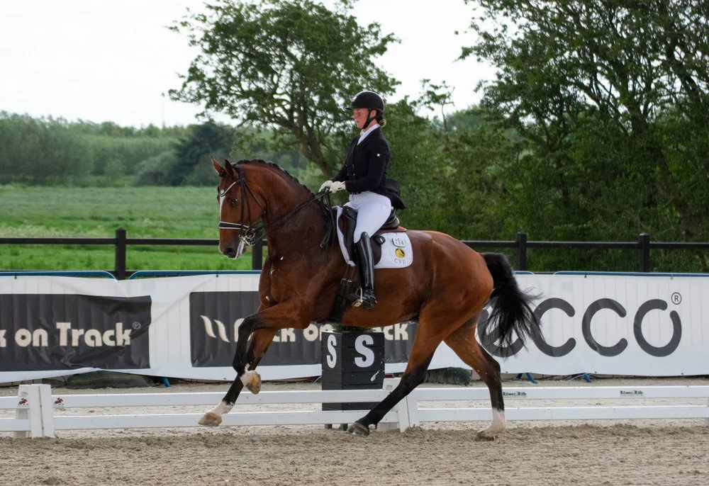 Zippo MI by Blue Hors Zack/Blue Hors Don Schufro with Michala Damm-Frydenberg - good balance and well prepared for the 7 year old level - photo credit: Mia Bach.