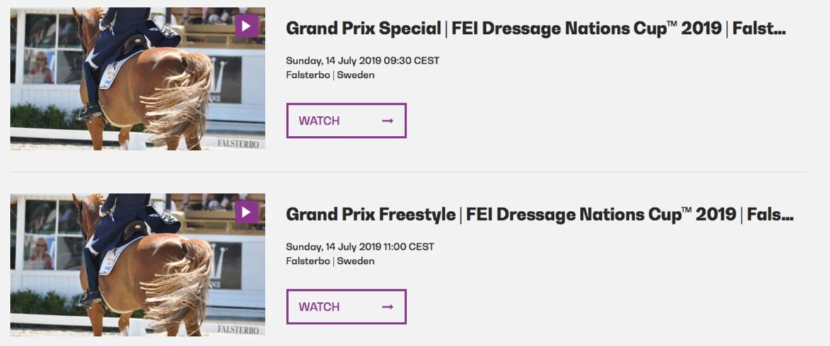Screen+Shot+2019-07-12+at+08.56.29.jpg