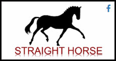 StraightHorse-H2R-logo1.jpg
