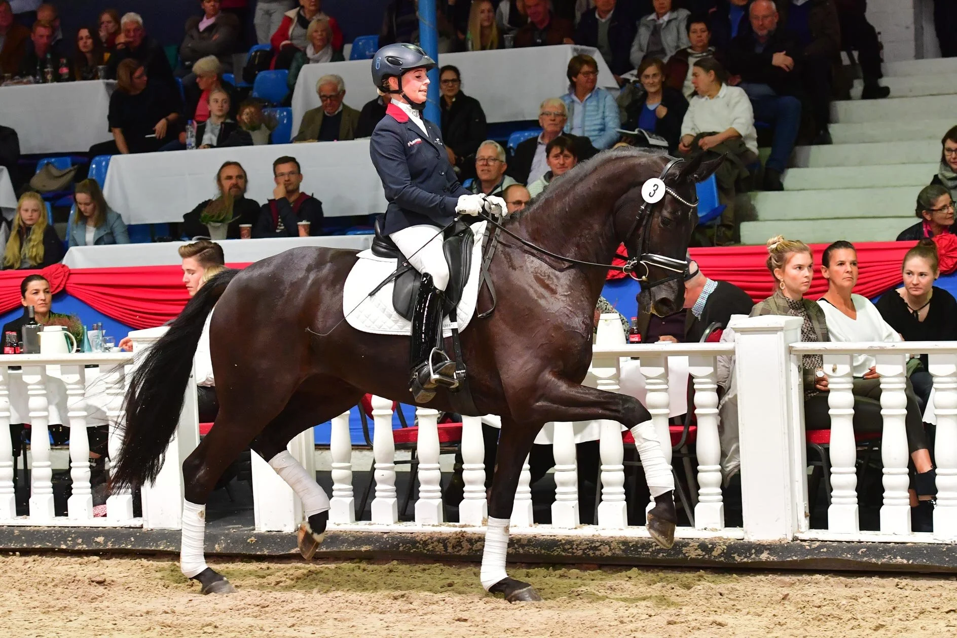 Top price San Amour I / De Niro sold for 110.000 to German international rider Lisa Müller
