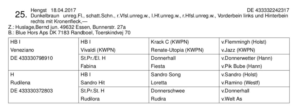 Screen+Shot+2019-10-10+at+19.25.35.jpg