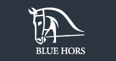 BH Logo banner 230x122 px.jpg