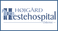 Højgaard-Hestehospital-logobanner-NEW.png