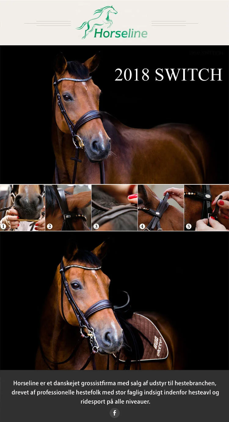 Horseline-Stuebben-2018-SWITCH-banner2.jpg