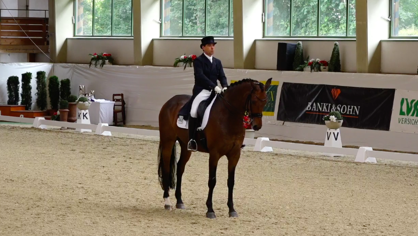 9 year old Rockson by Rockefeller / Sorento with Uwe Schwanz - photo: Clipmyhorse