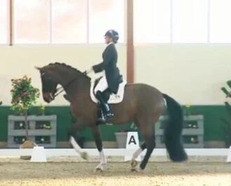 Ellie and Lyndal  - photo @clipmyhorse
