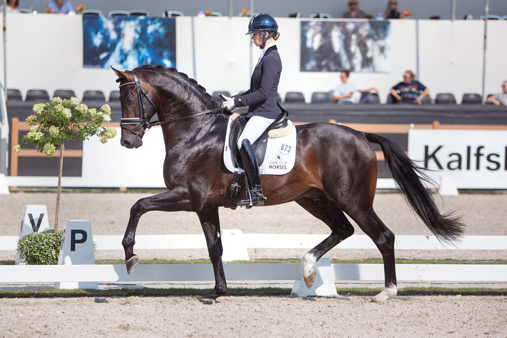 Inclusive and Charlotte Fry with international small-tour debut today - photo: Van Olst Horses