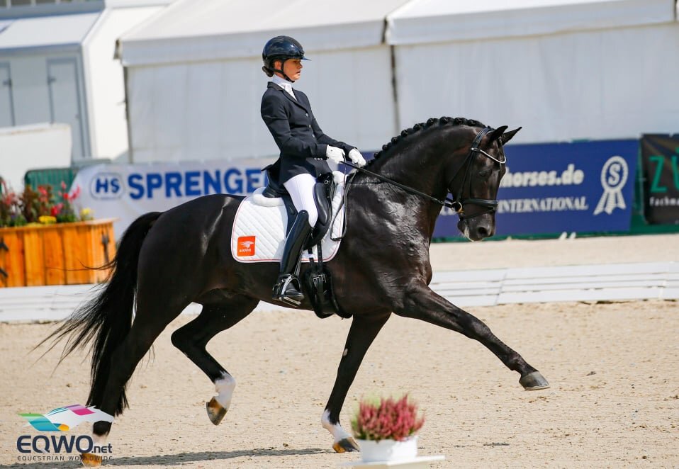 VIDEO - Kjento and Charlotte Fry look like a World Champion combination Horse2Rider