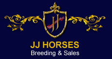JJ-Horses-banner5.png