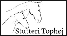 Stutteri Top.png