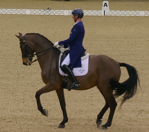 Screen Shot 2026-02-24 at 16.30.21.png