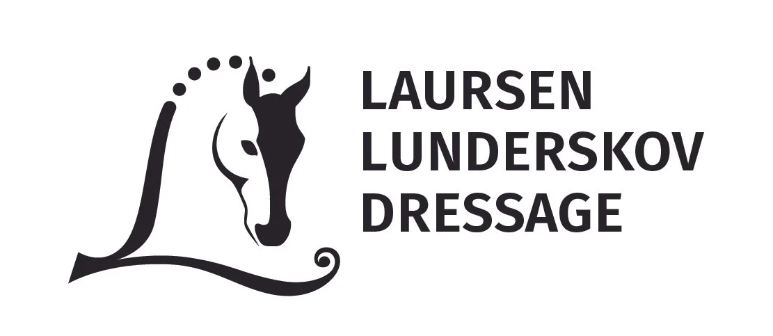 laursen lunderskov 4@2x-100.jpg
