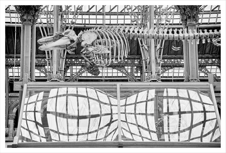 DSCF0884_bw2_web.jpg