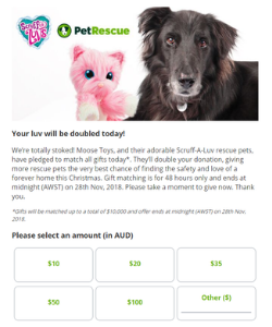 Gift matching pop-up donation form