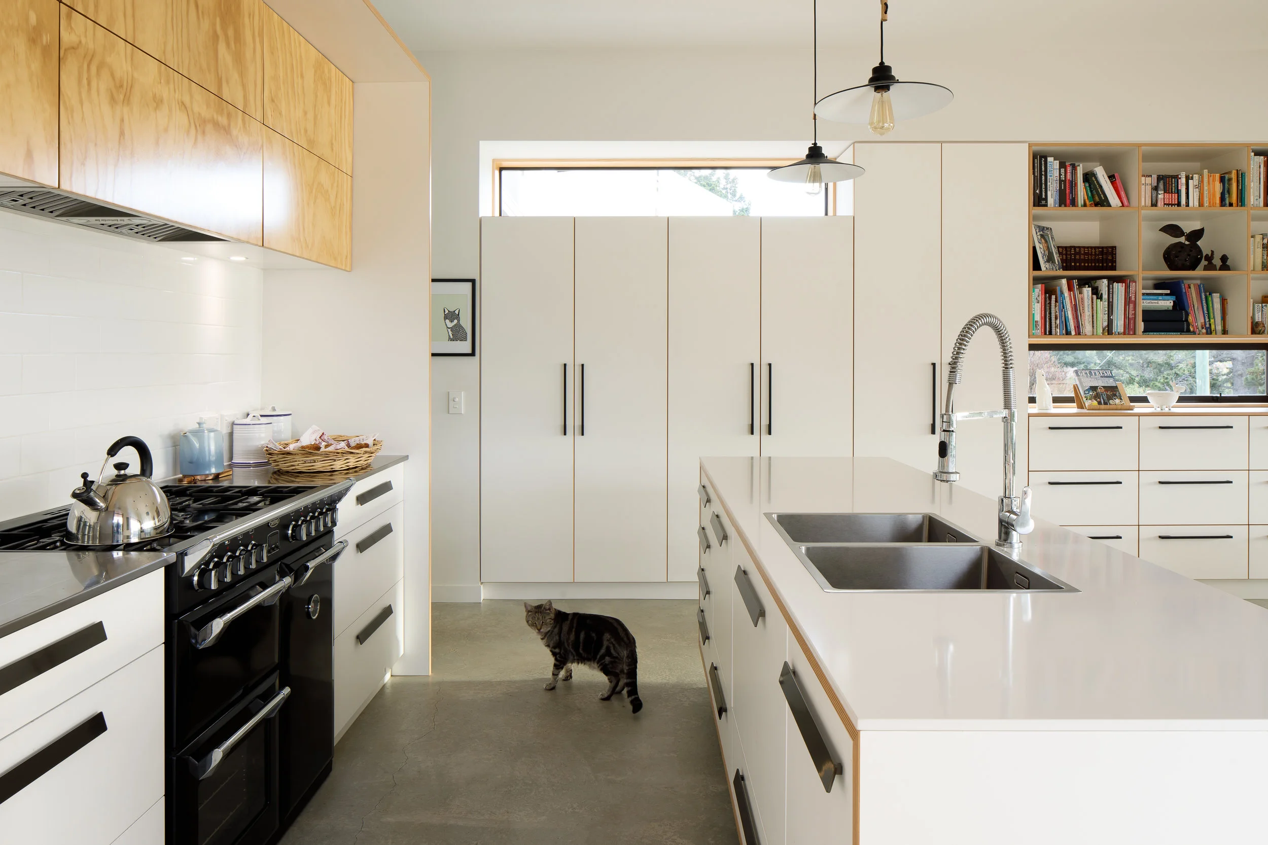 First Light Studio_Fox House_copyright Jason Mann_G8A6964-Edit.jpg