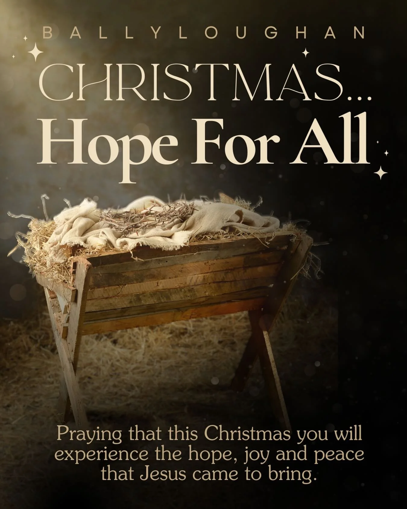 Merry Christmas from Ballyloughan!