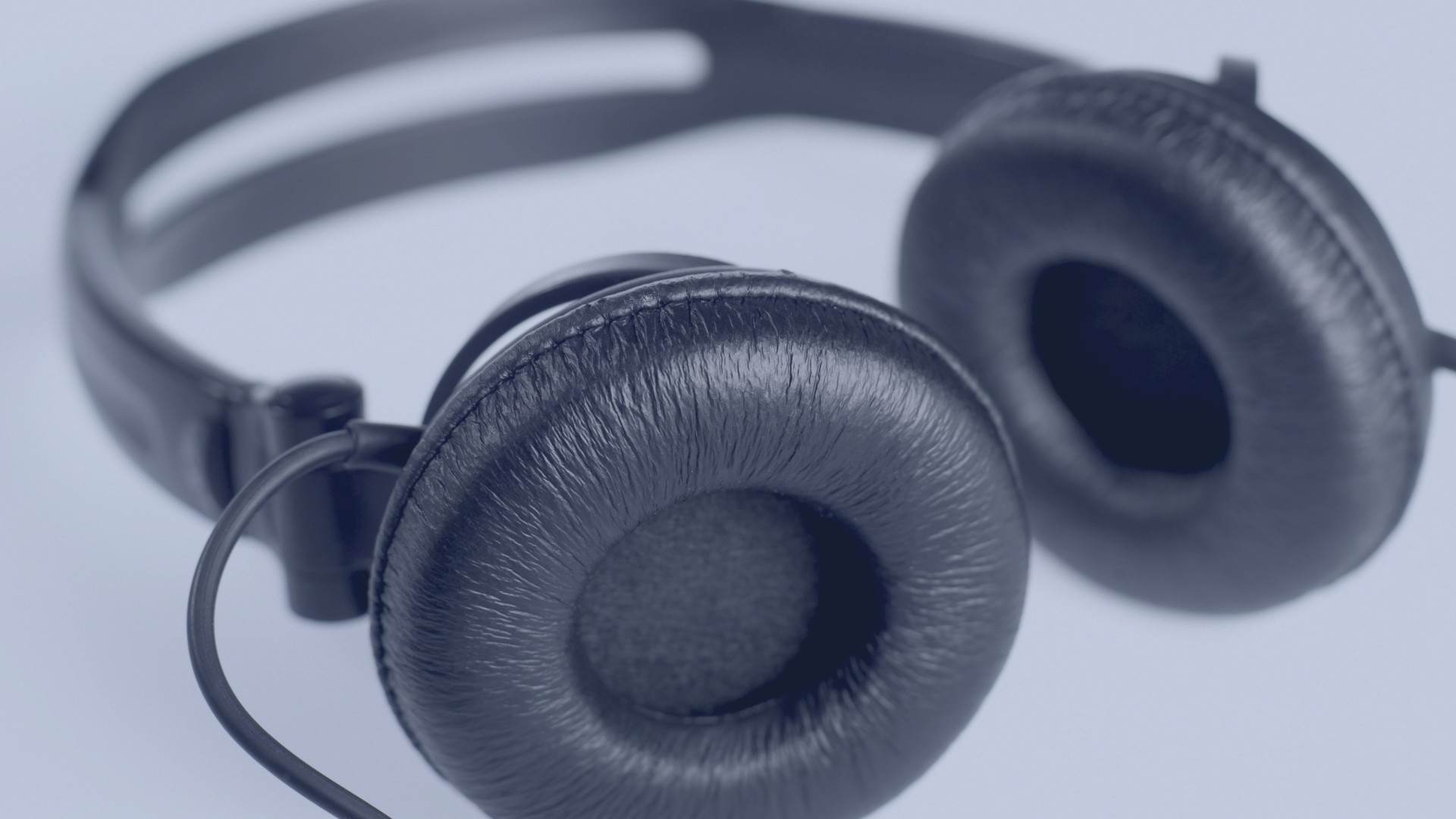 Website Images (3).png