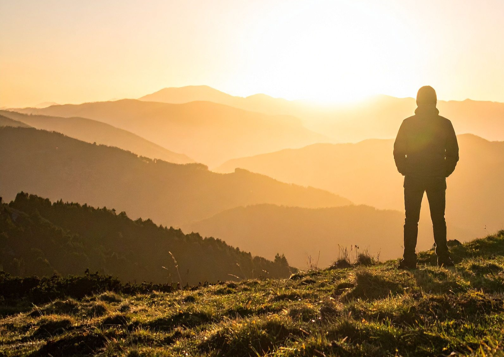 2025 Alpha Leaflet.png