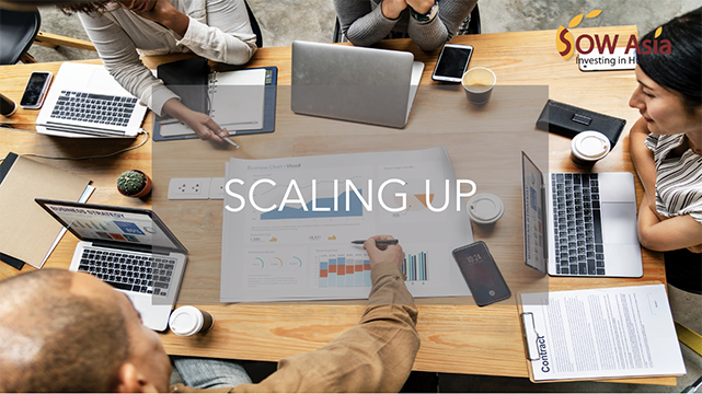 Z_scaling up copy.png
