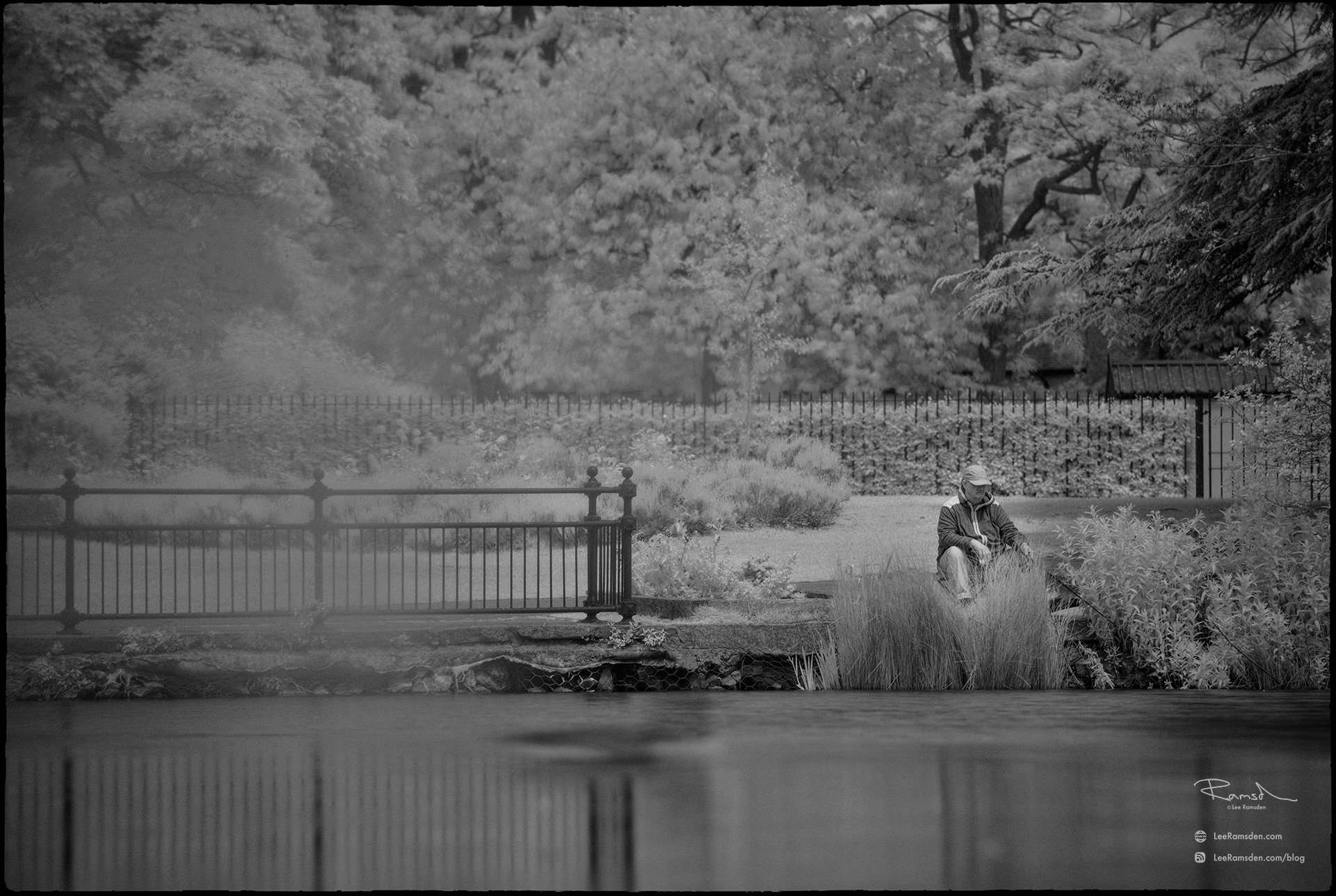 03 infrared with filter city park hoya r72 filter.jpg