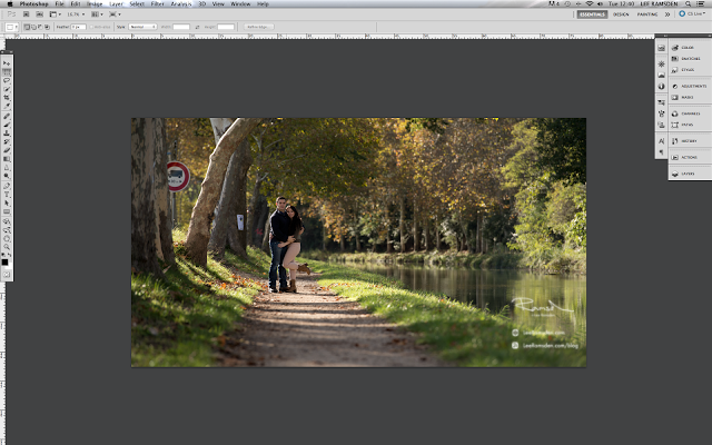 Photoshop tutorial how to add leaves to your image and make them look more professional