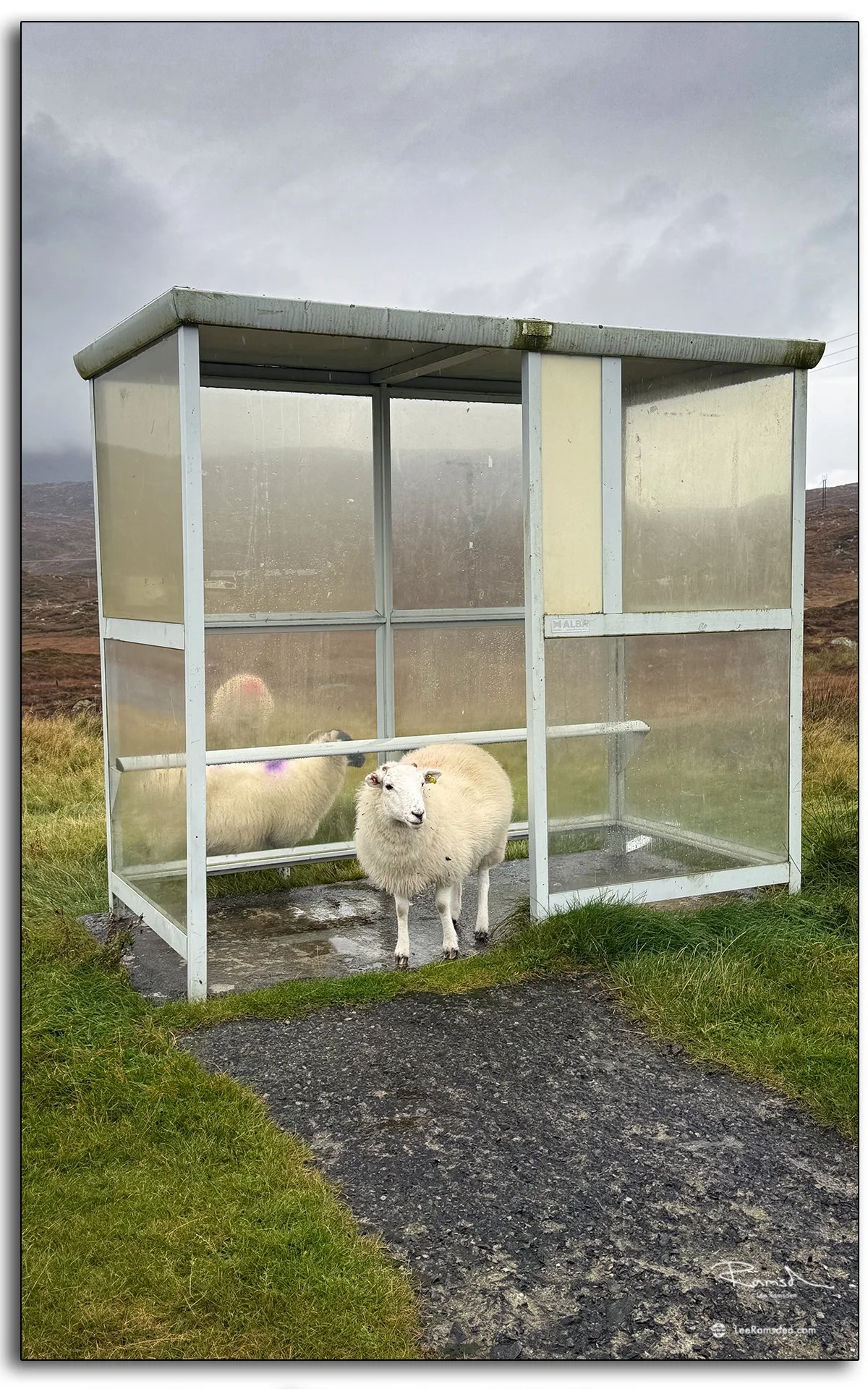Island Life – Shelter and the Sea
