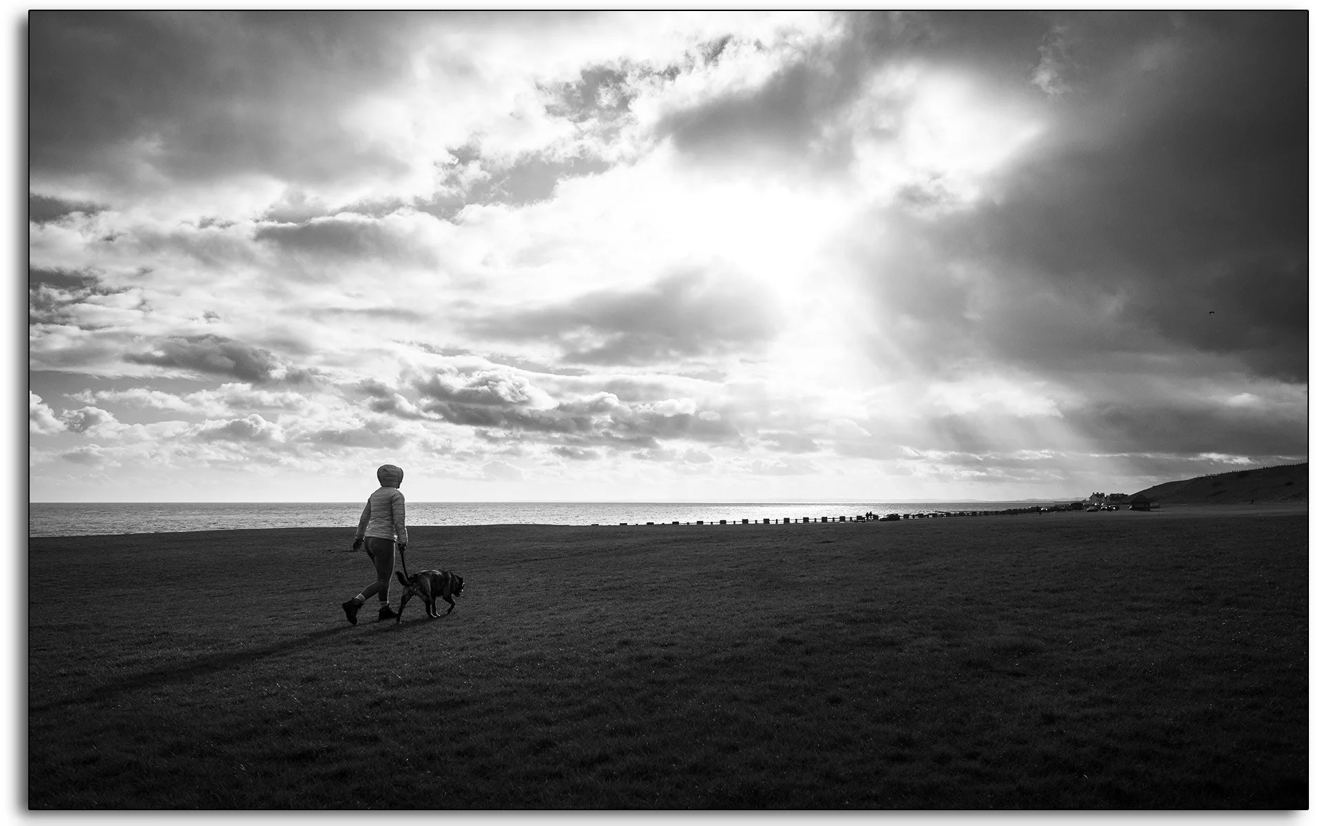 Rebecca,-Rice,-Ramsde,-Black-and-White,-Dog-walk,-Arbroath,-Victoria,-Park,-Vicky.jpg