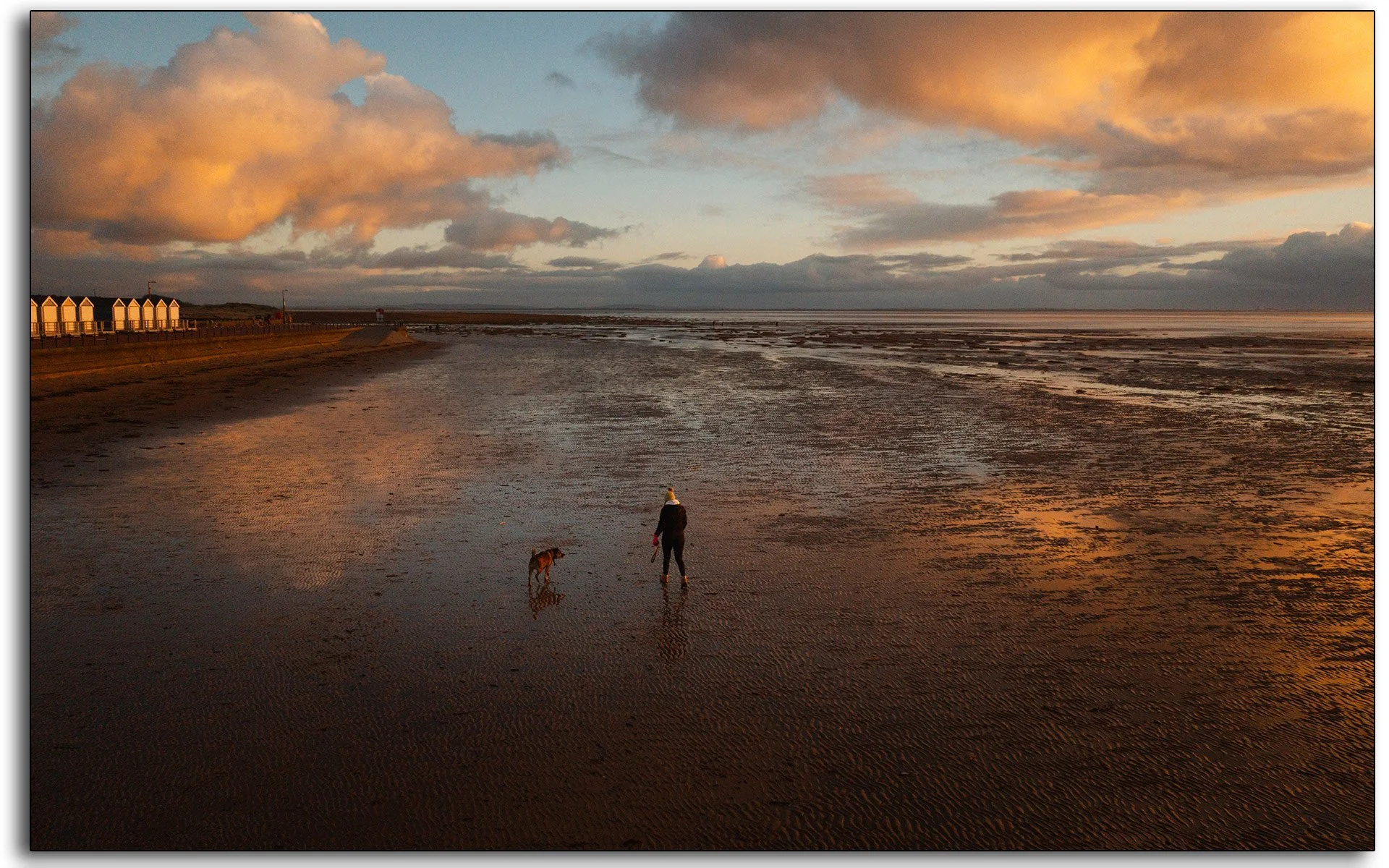 02-dog-walking-st-annes.jpg