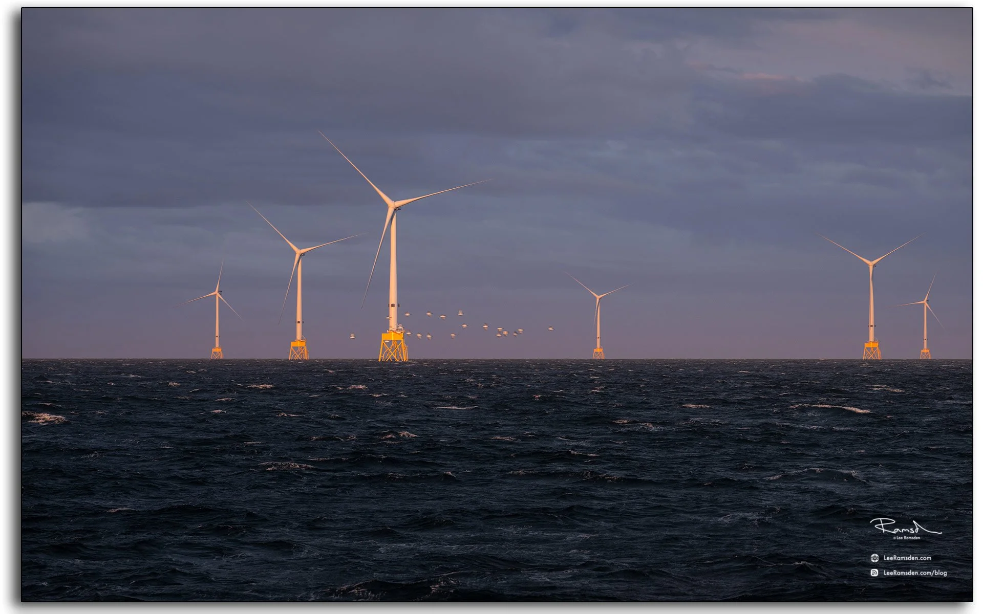 Five offshore wind turbines at dusk with yellow jacket foundations catching warm light, a flock of birds in flight between the turbines, dark North Sea in the foreground