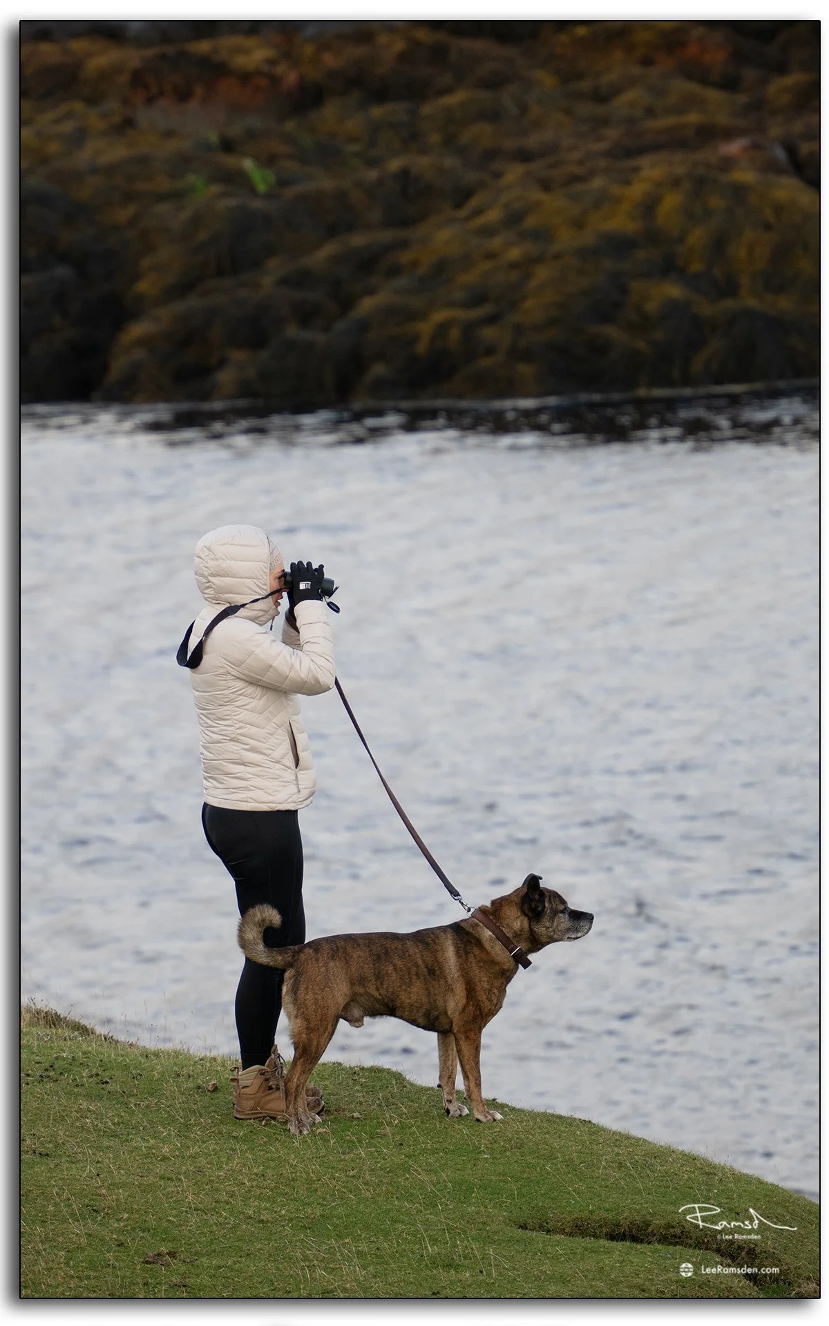 Person with binoculars and dog wildlife watching at the Seal Viewpoint on the Isle of Harris, Outer Hebrides, Scotland.