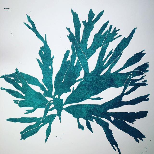 #seeweed #linocut #oceanophilie