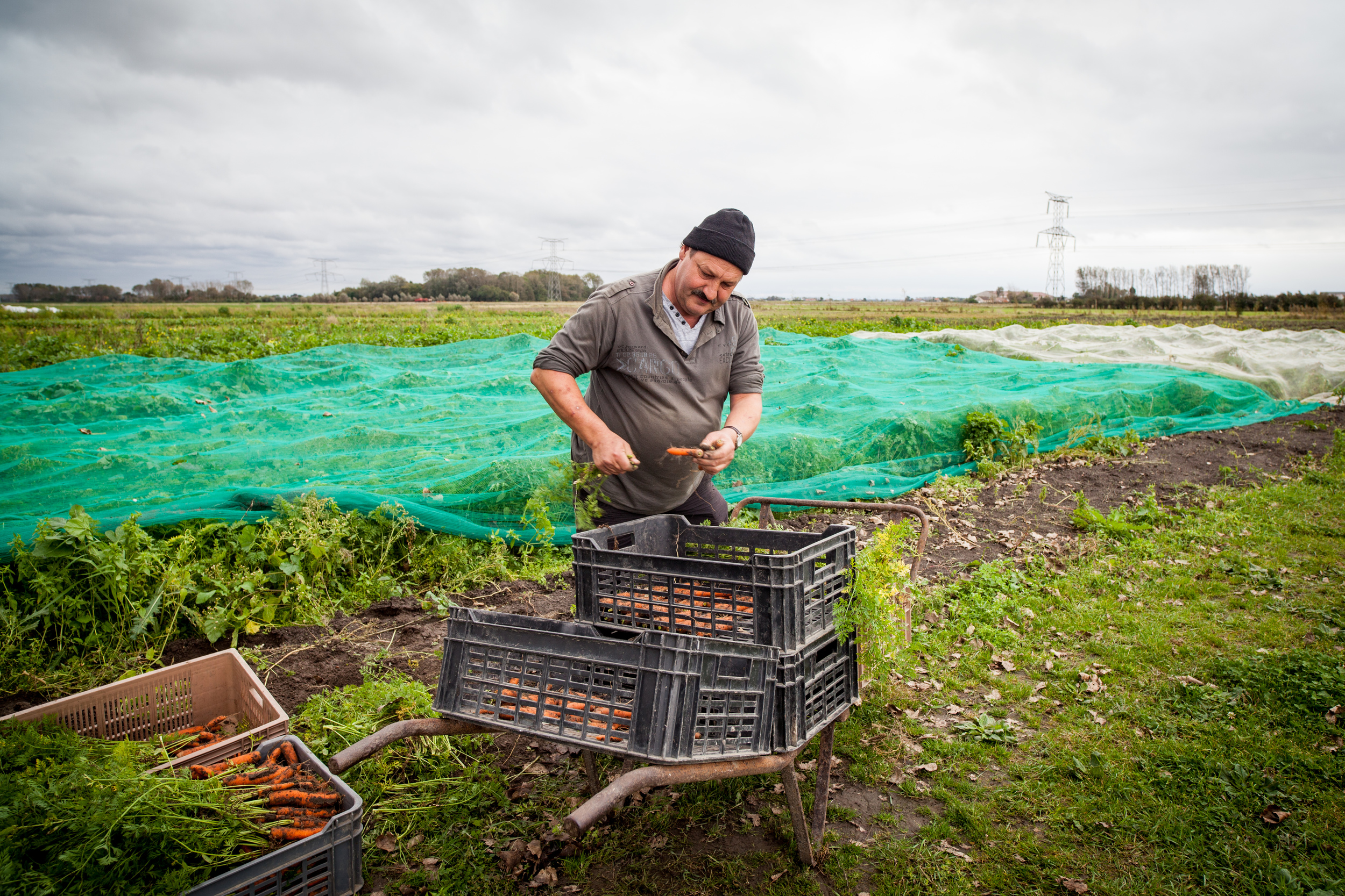  L'écopôle alimentaire basée à Vieille-Eglise dans le Pas-de-Calais propose une agriculture biologique et solidaire. Les fruits et légumes sont produits par des personnes en réinsertion, et des “paniers solidaires” sont distribués aux familles défavo