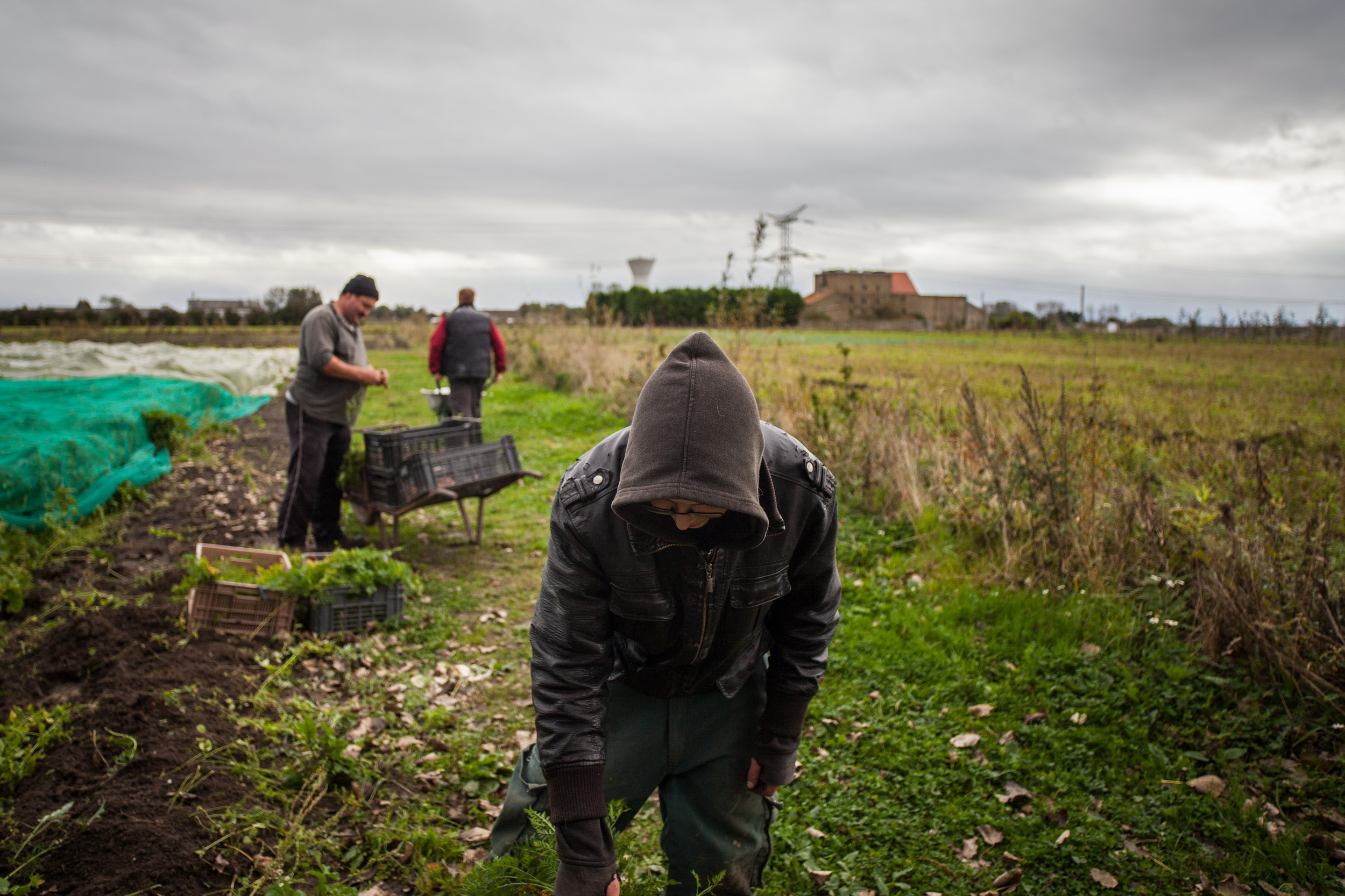  L'écopôle alimentaire basée à Vieille-Eglise dans le Pas-de-Calais propose une agriculture biologique et solidaire. Les fruits et légumes sont produits par des personnes en réinsertion, et des “paniers solidaires” sont distribués aux familles défavo