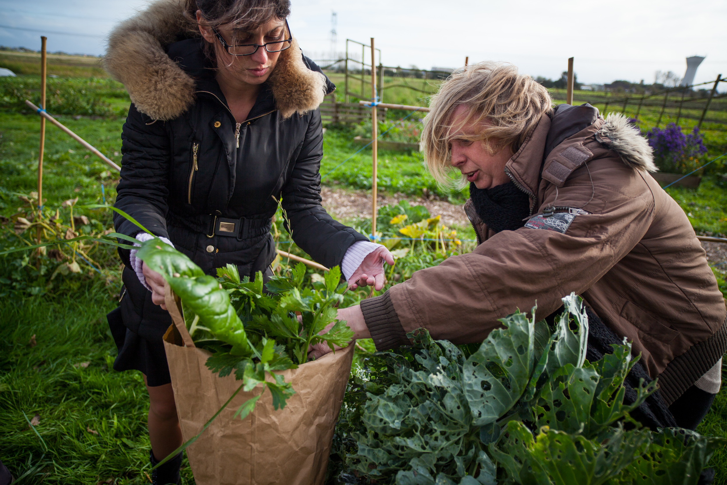  L'écopôle alimentaire basée à Vieille-Eglise dans le Pas-de-Calais propose une agriculture biologique et solidaire. Les fruits et légumes sont produits par des personnes en réinsertion, et des “paniers solidaires” sont distribués aux familles défavo