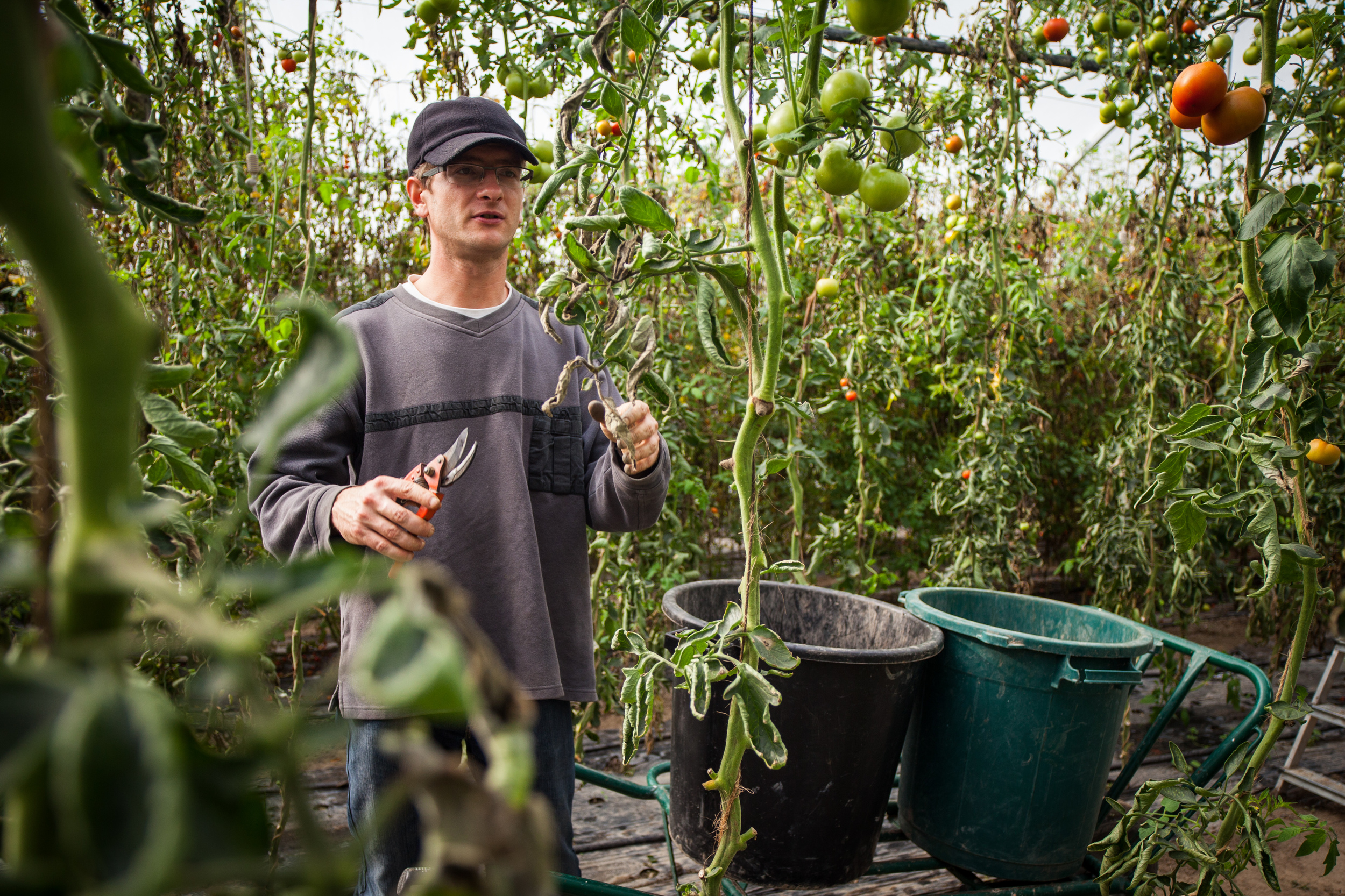  L'écopôle alimentaire basée à Vieille-Eglise dans le Pas-de-Calais propose une agriculture biologique et solidaire. Les fruits et légumes sont produits par des personnes en réinsertion, et des “paniers solidaires” sont distribués aux familles défavo