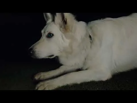 Introducing the Range Rover Velar | Land Rover USA