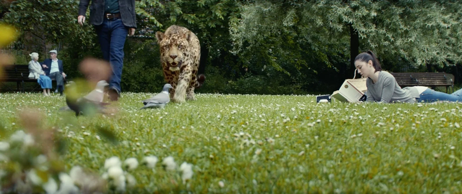 jaguar placeholder.jpeg