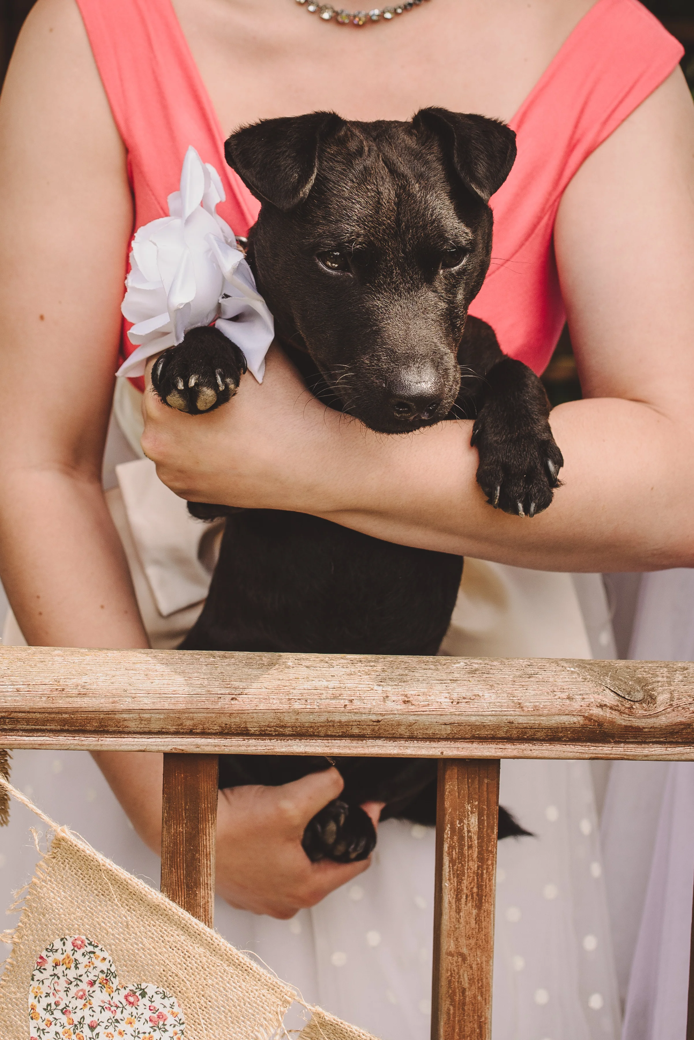 Photo Credit: Becky Ryan Photography