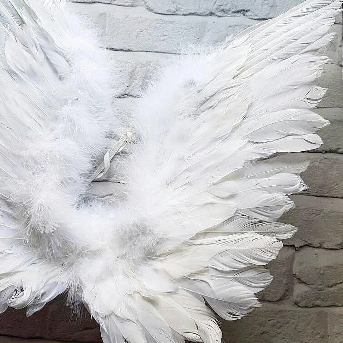 Feathered Angel Wings