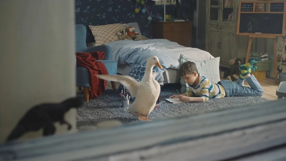 “The tale of a duck and a boy.” Donald Duck - Magazine