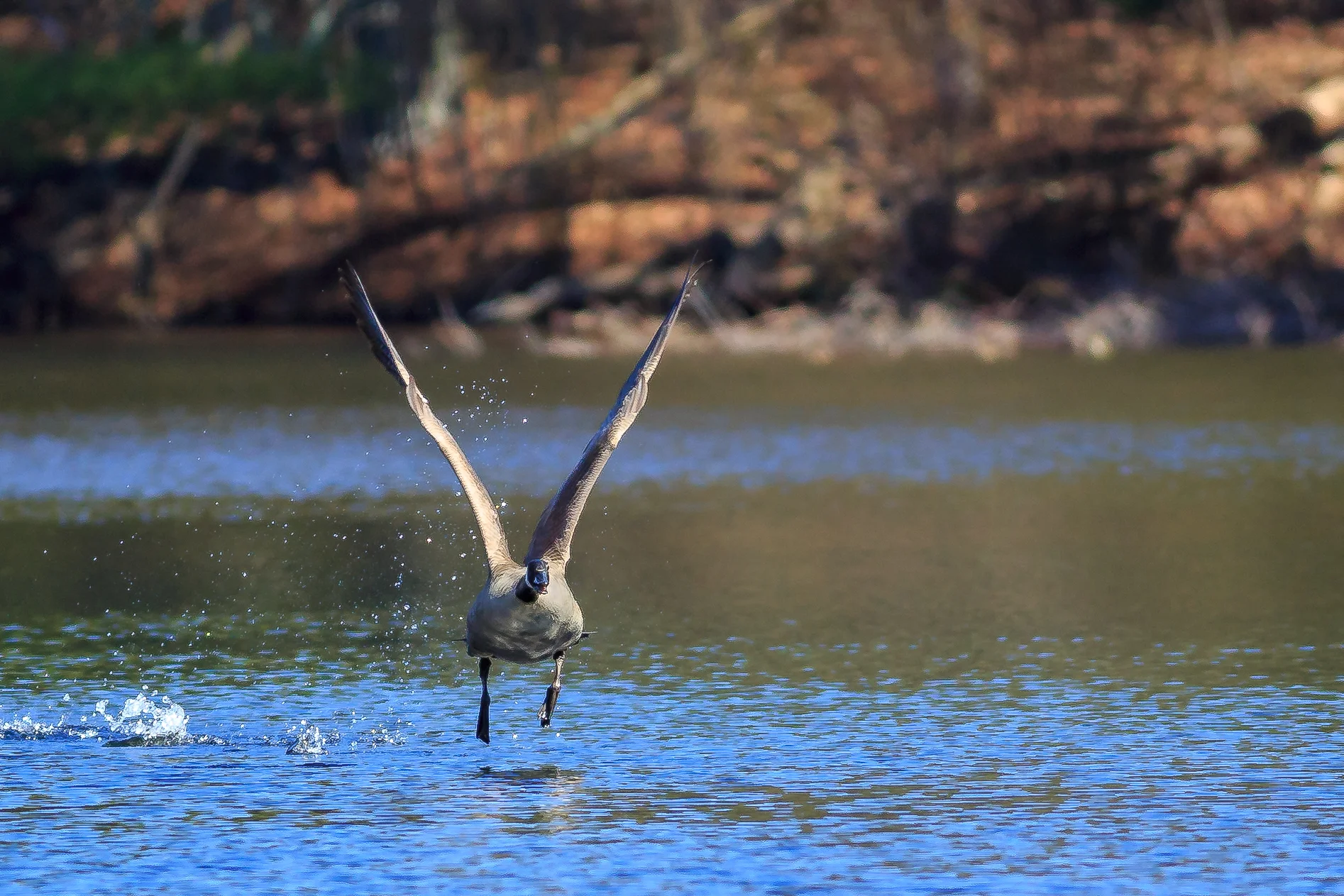 Image Critiques for 4/23/2015