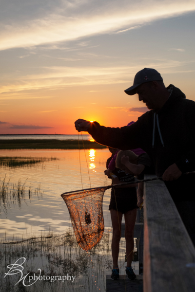 I used my small, mirrorless Fuji X-T1 camera for this image…because it’s so light-weight, I could hold the camera with one hand off the side of the boardwalk in order to get this shot…being very careful not to drop it over the side!