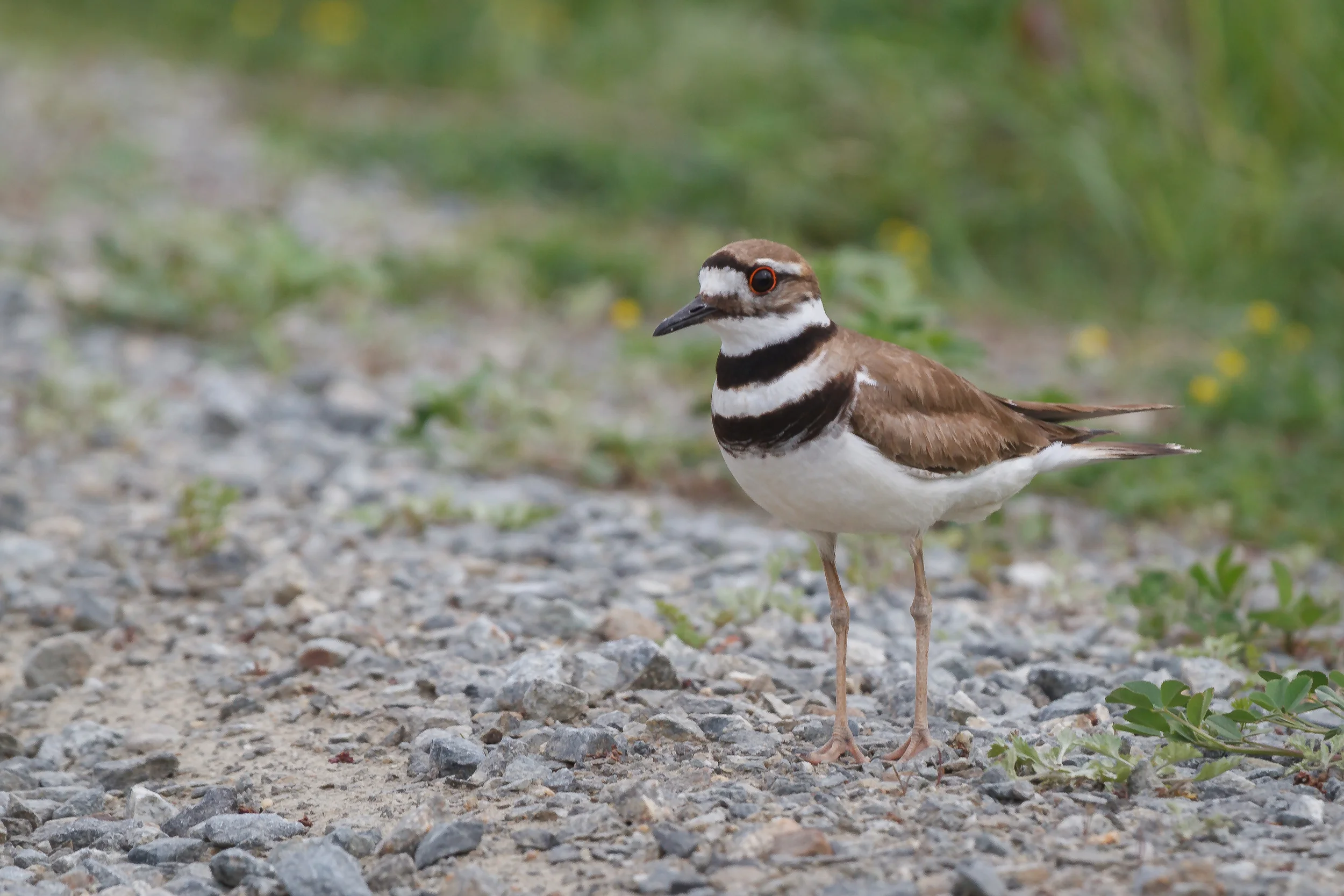 Weekly Photo Challenge